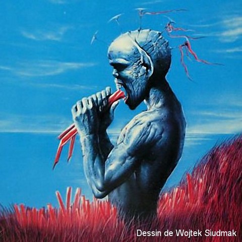 Couverture Siudmak